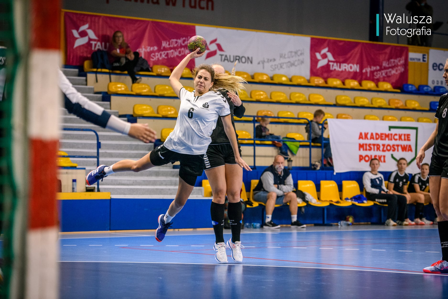 Mistrzostwa Europy W Piłce Ręcznej Kobiet FINAŁ AMP W PIŁCE RĘCZNEJ KOBIET - WYNIKI LIVE - AZS Katowice